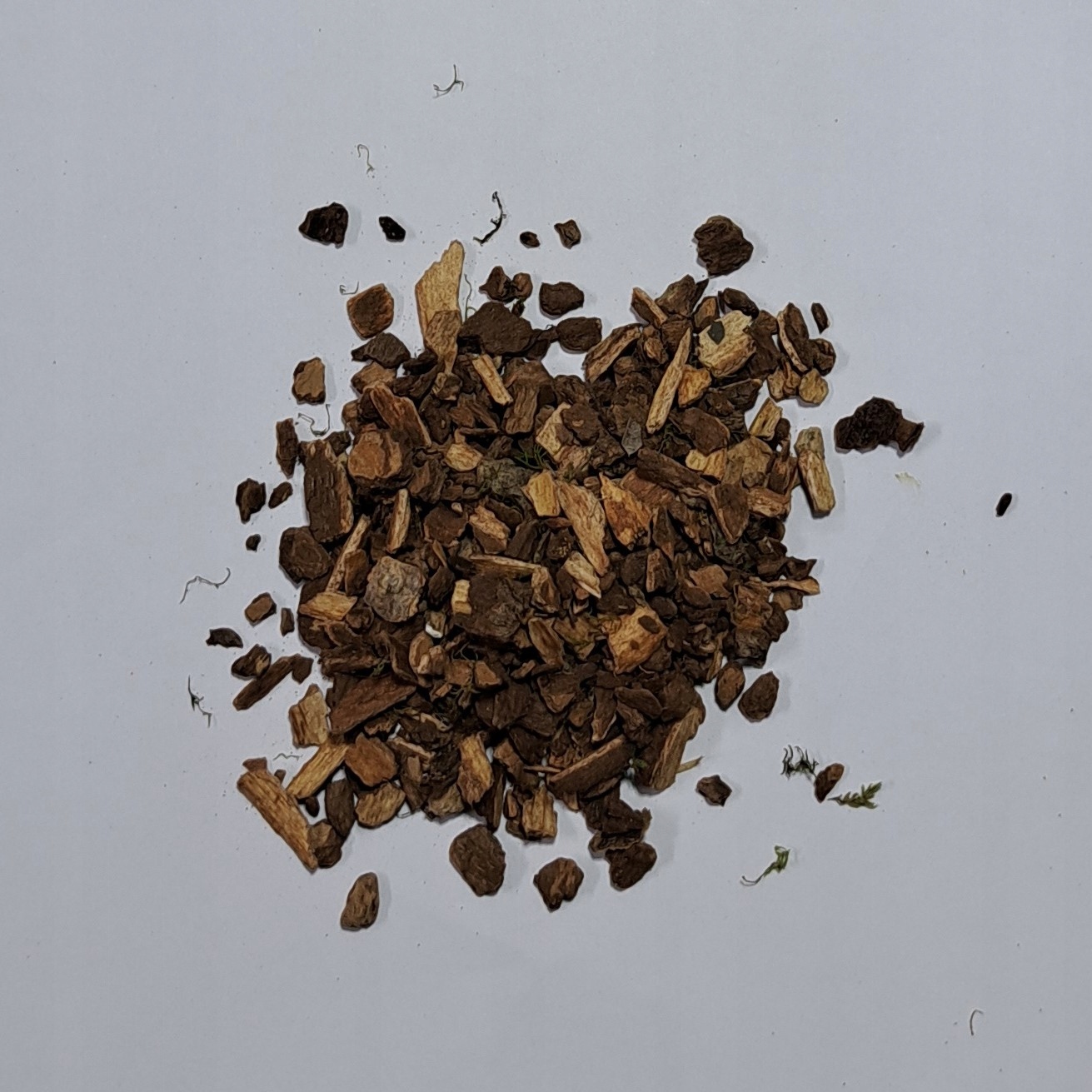 Levně Kalina švestková Viburni Prunifolii 1 Kg Rafex