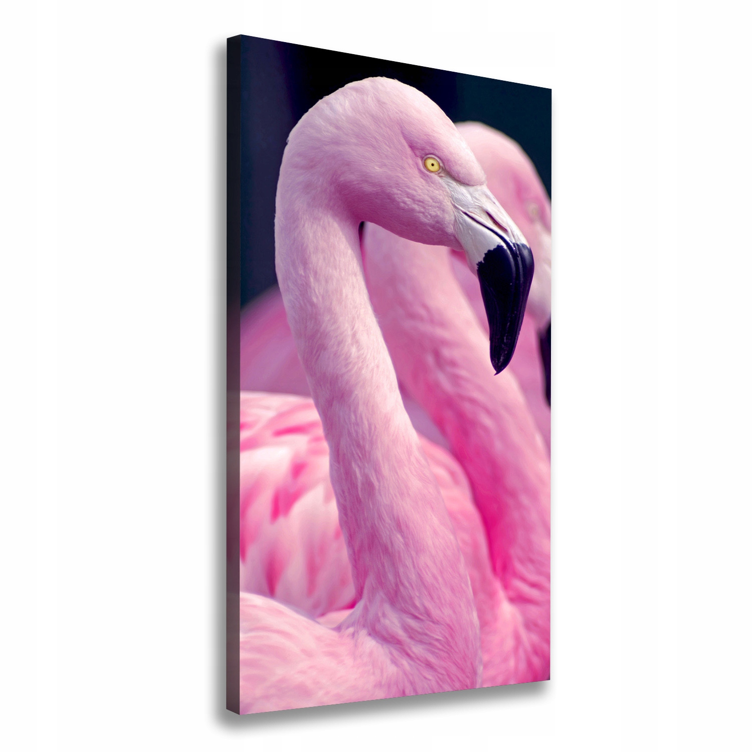 

Foto obraz na płótnie do salonu Flamingi 60x120 cm
