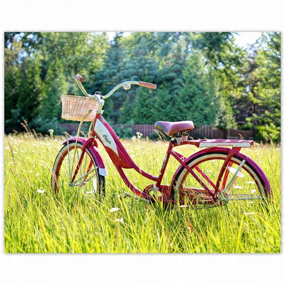 

Plakat 50x40 Rowery Rowerki Dwa Kółka