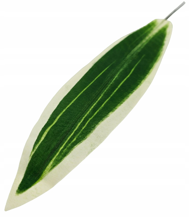 LIŚĆ DRACENA JASNA KWIATY SZTUCZNE LIŚCIE dodatek Marka Madex
