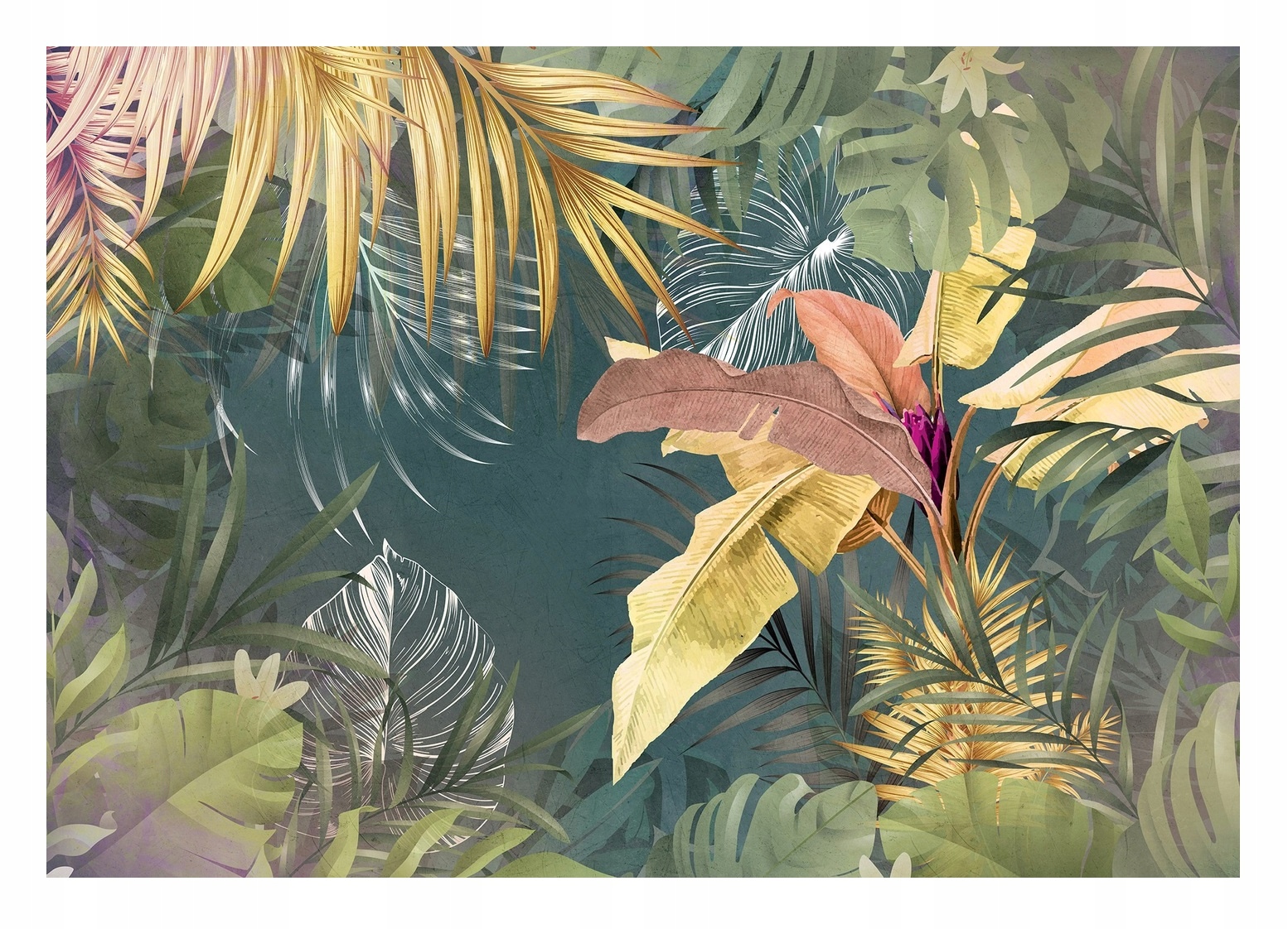 Fototapeta Listy Kapradí Banánovníku Rostliny Příroda Tapeta Na Zeď 312x219