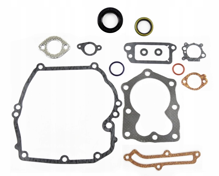 

Zestaw Uszczelek Briggs Quantum 493263 496117 Bs