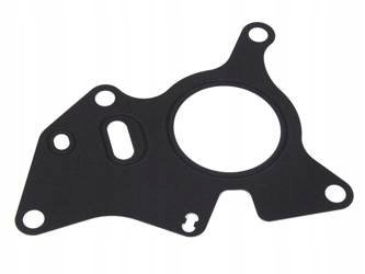 USZCZELKA POMPY WTRYSKOWEJ FORD 2,0 DIESEL DW10F