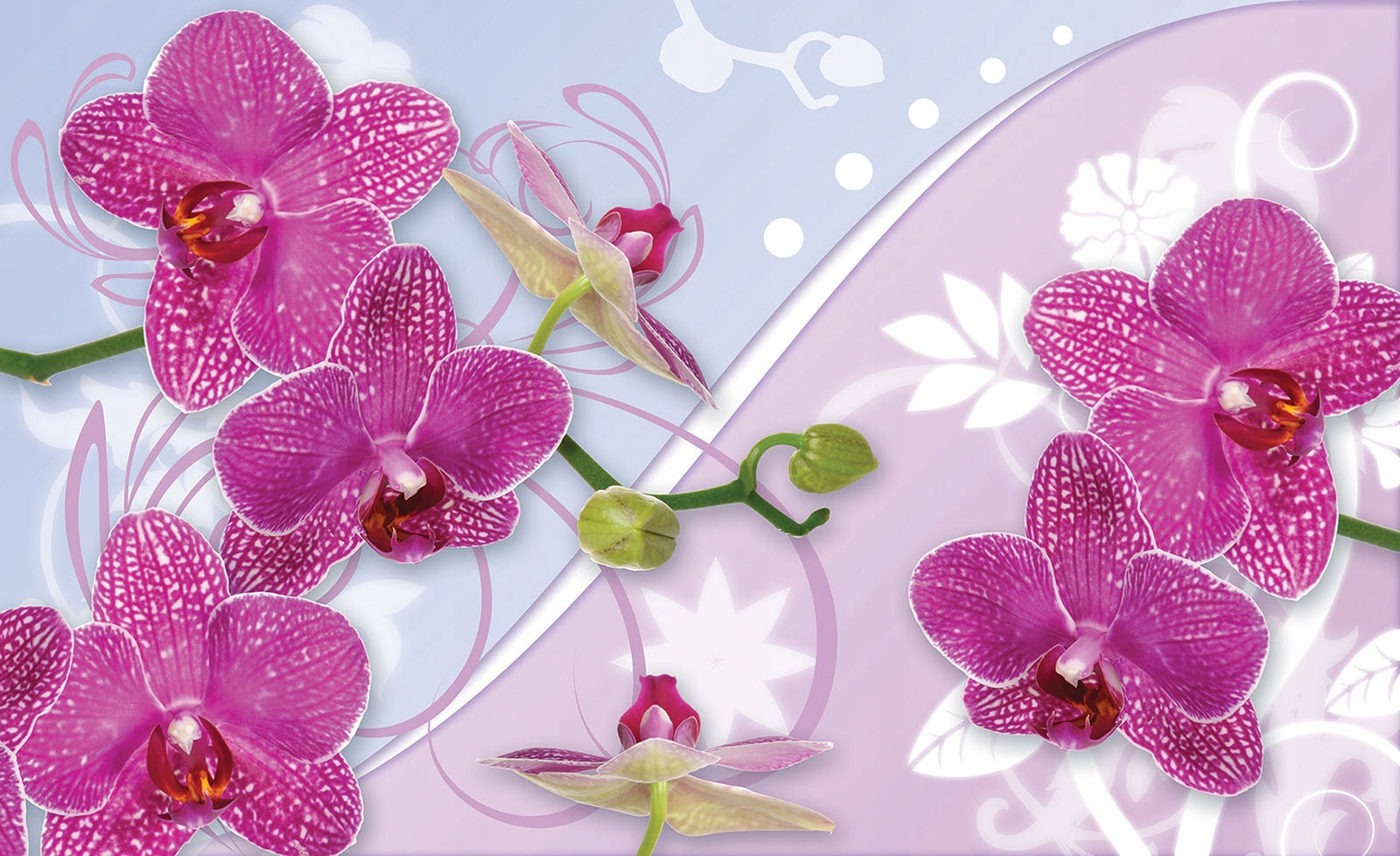 Vliesová fototapeta Orchideje růžová abstrakce jemnost 300x210 lepidlo