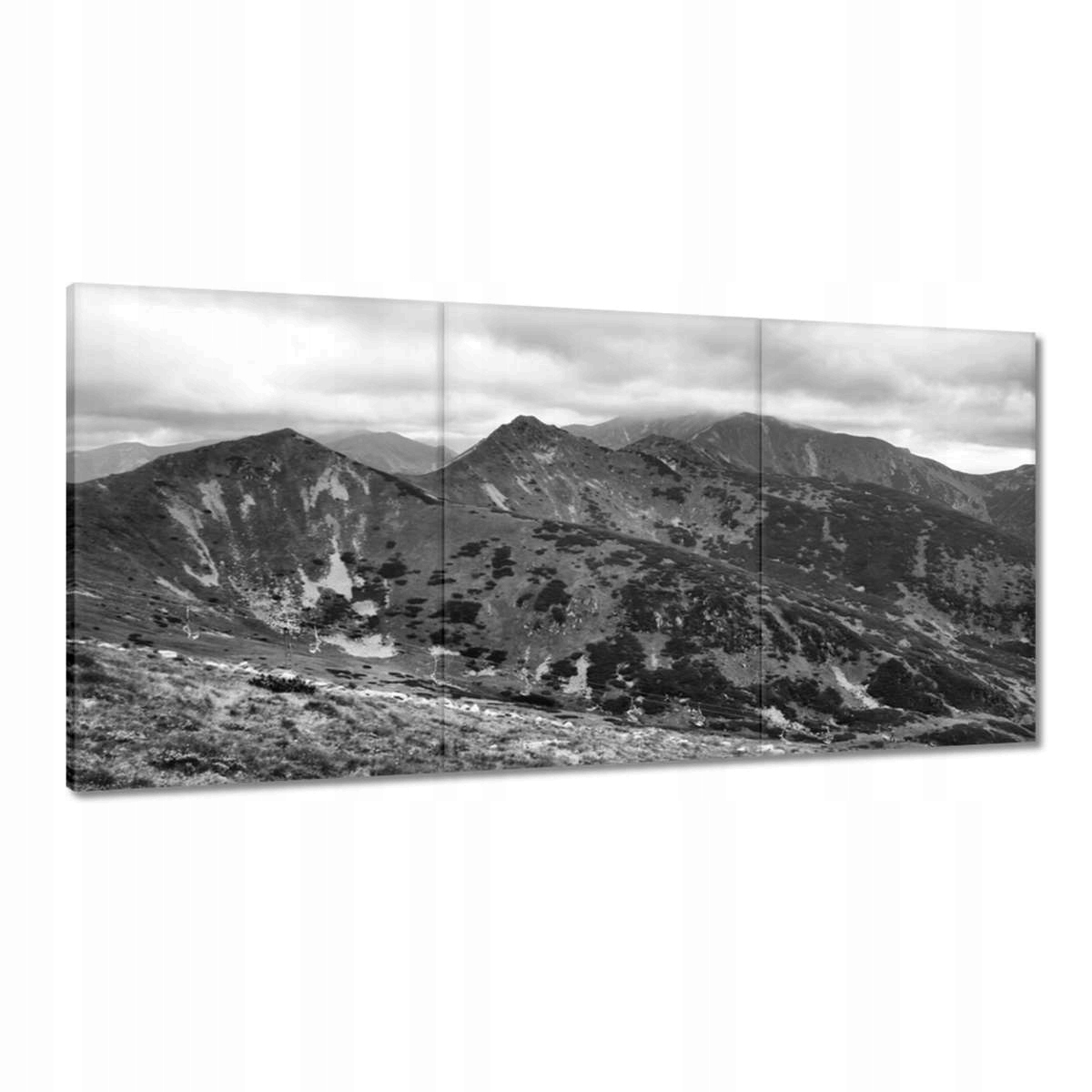 Obrazy 180x90 Tatry Poľské hory Pohľad