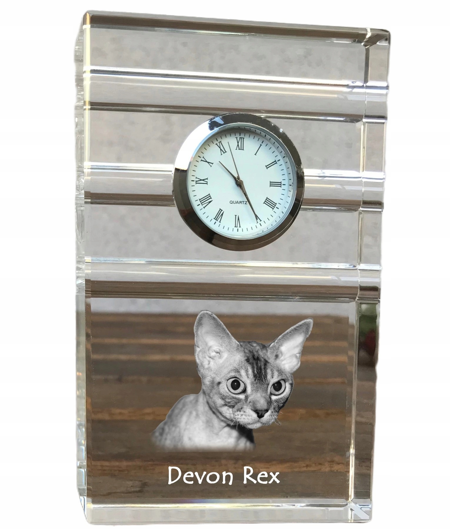 Mačka Devon Rex krištáľové stolové hodinky s vašou fotografiou, suvenír