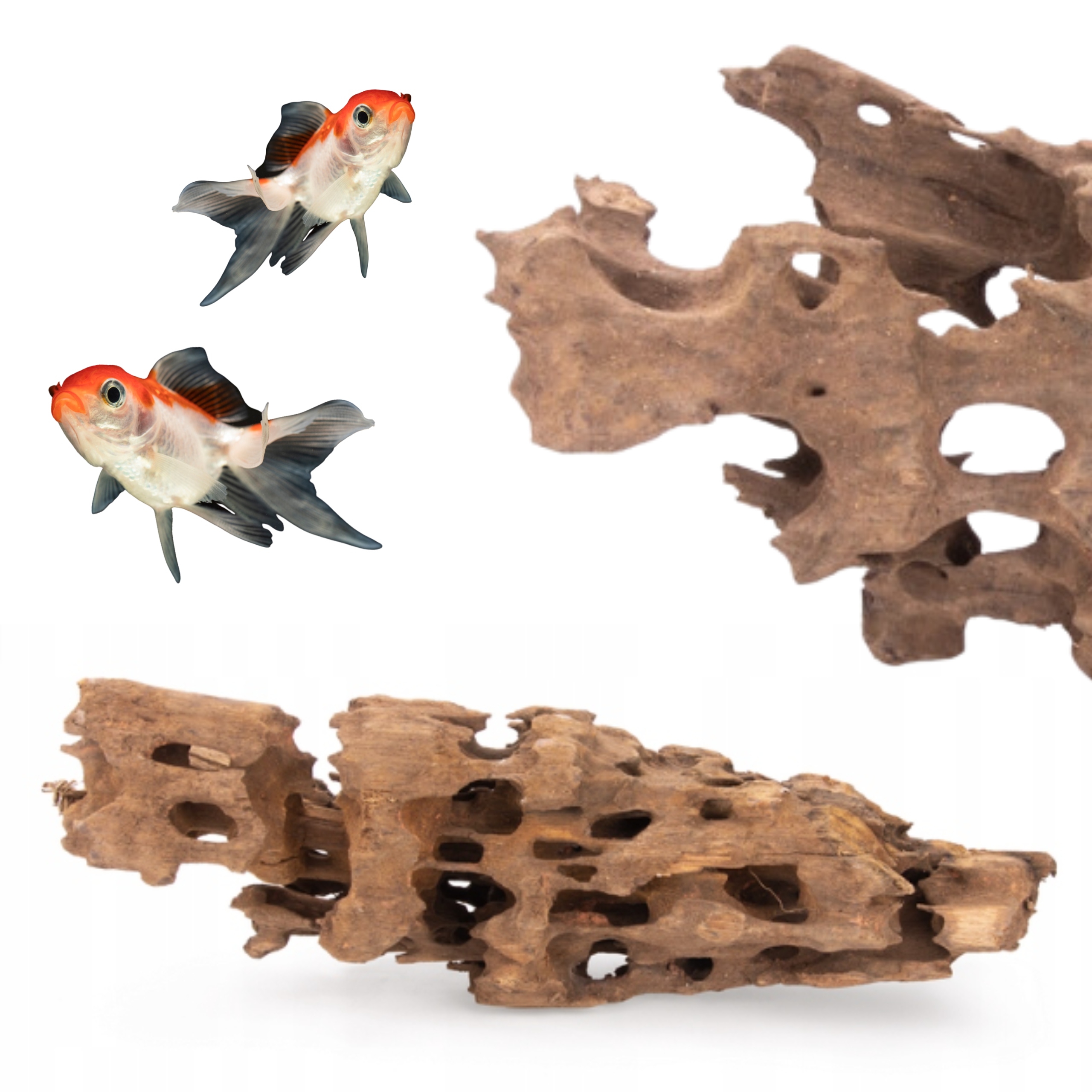 Levně Kořen do akvária Dragon Wood Velikost L 35-45cm