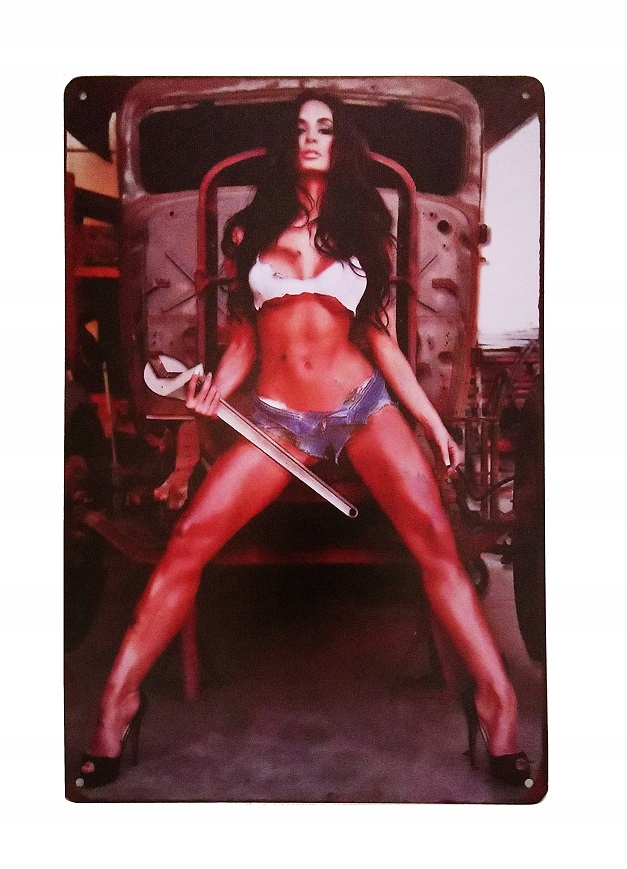 BLACHA TABLICA ozdobna RETRO GIRLS 20x30