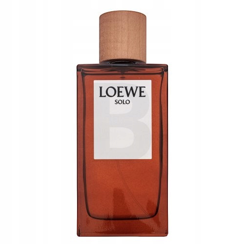 Loewe Solo Loewe Pour Homme toaletní voda pro muže 150 ml