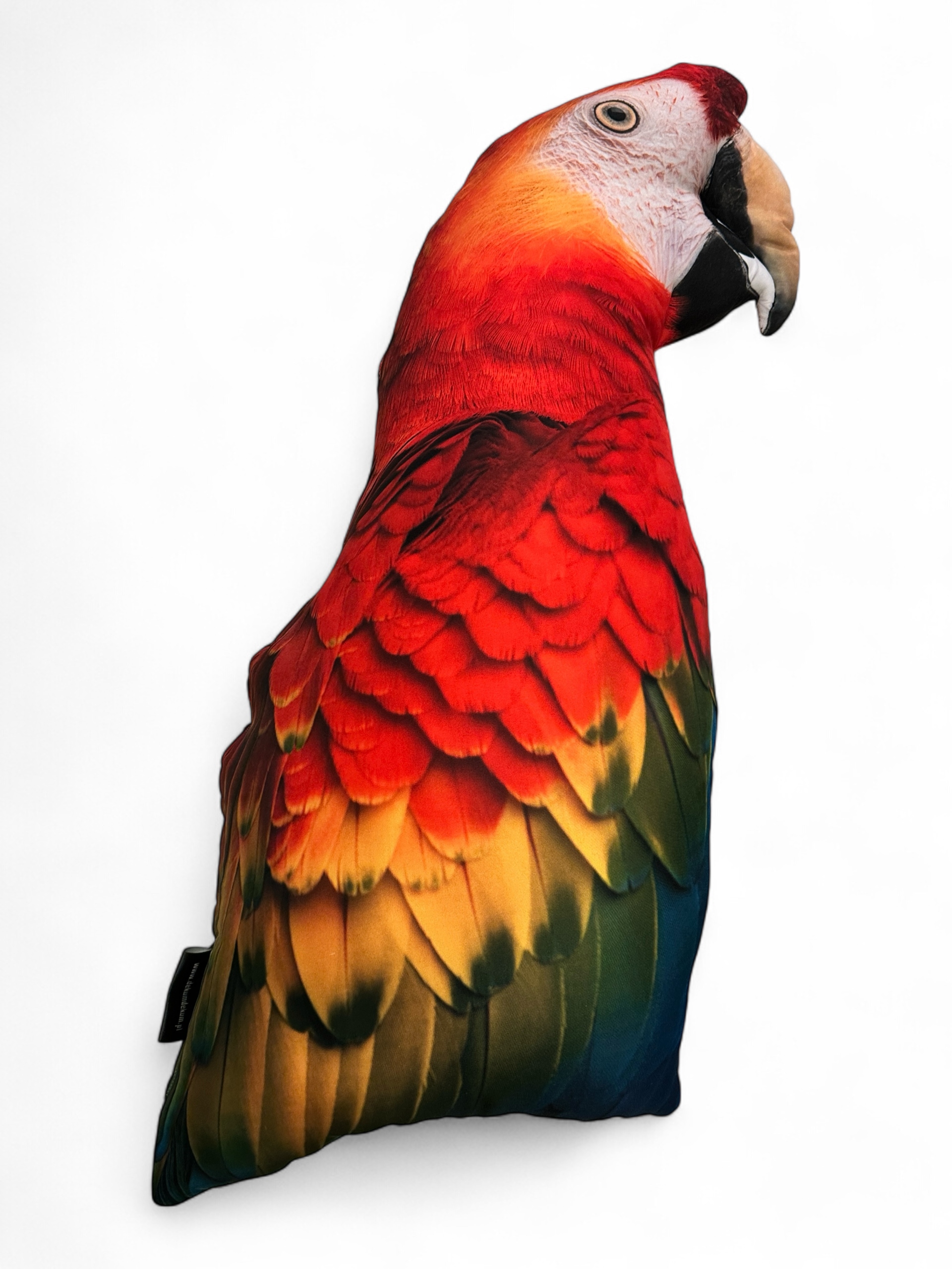 Polštář 3D polštář s Papouškem dárek na spaní měkký dekorativní velký