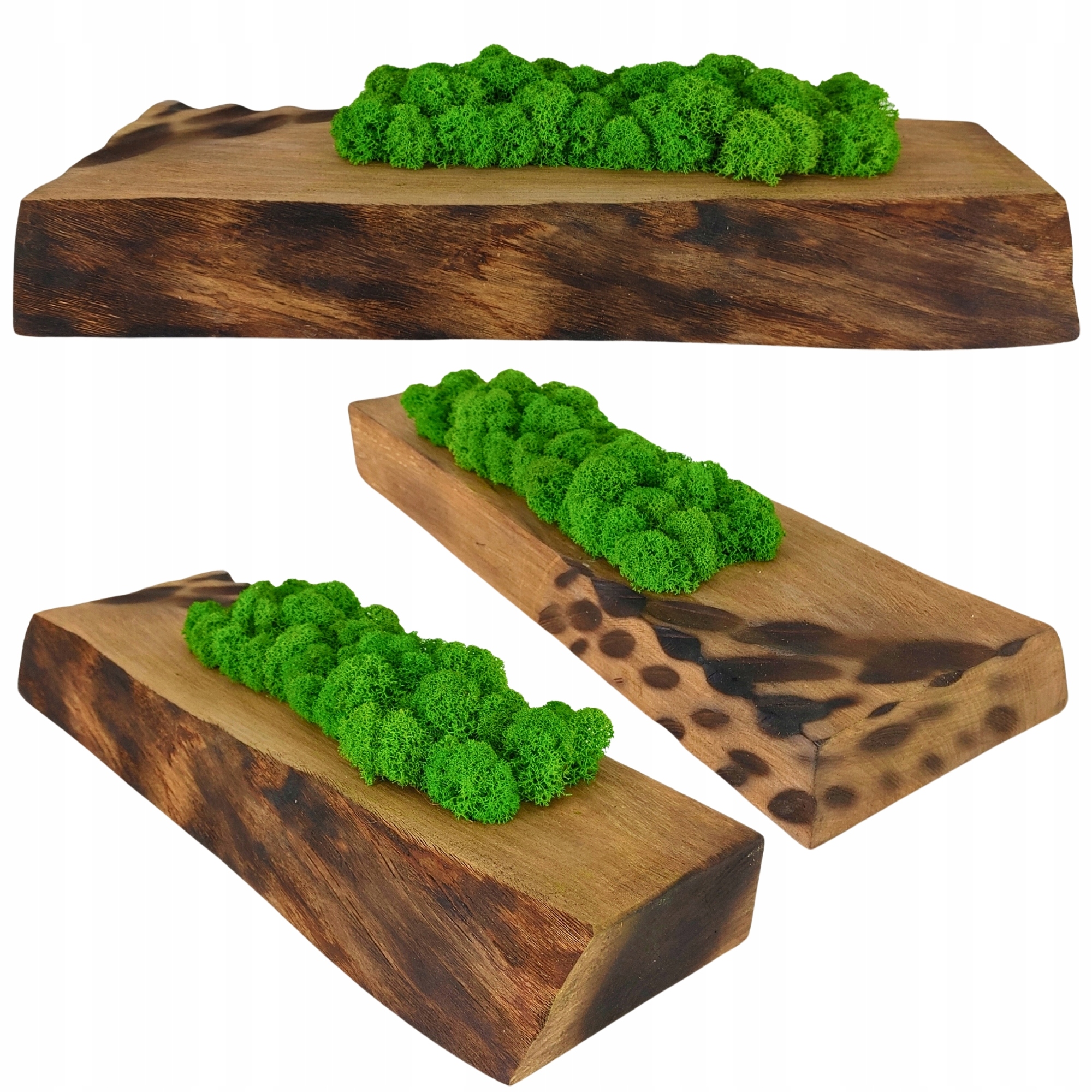 Květináč s mechem Chrobotkem dřevěný Květináč dekorativní mech dekorace