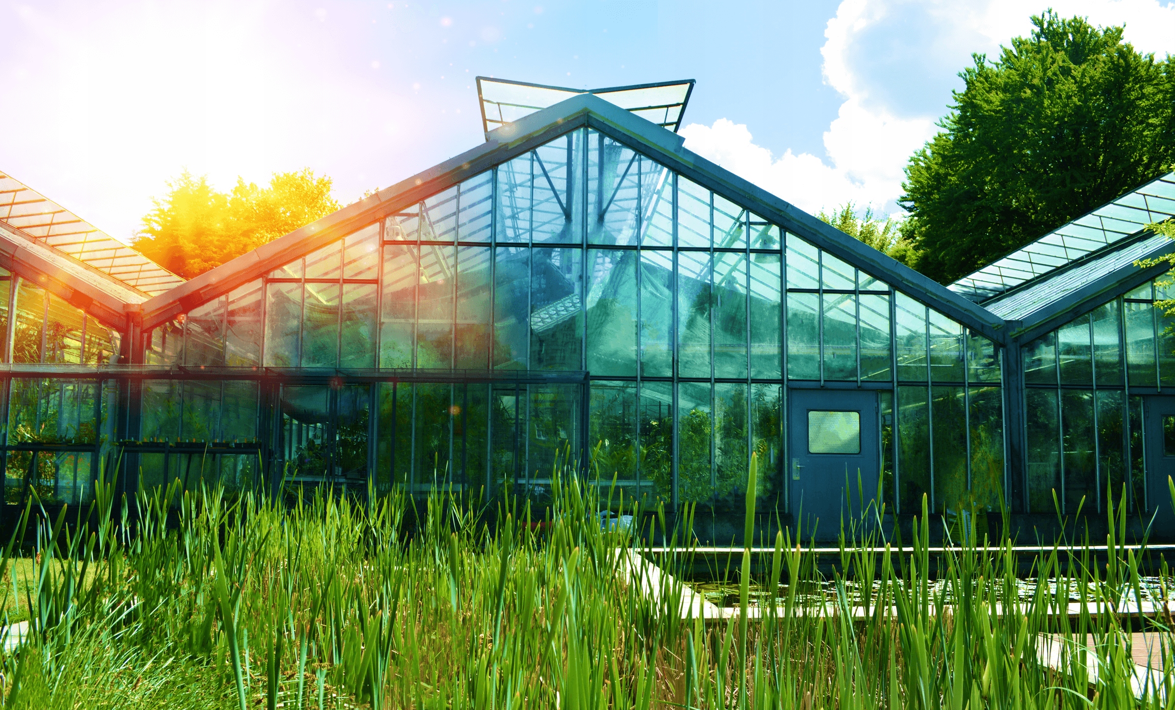 Czujnik temperatury tempSensor PRO BLEBOX WiFi + Rodzaj czujnika temperatury