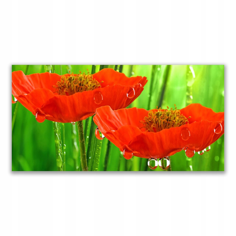 

Fotoobraz akryl ścienny 140x70 Maki Roślina Natura