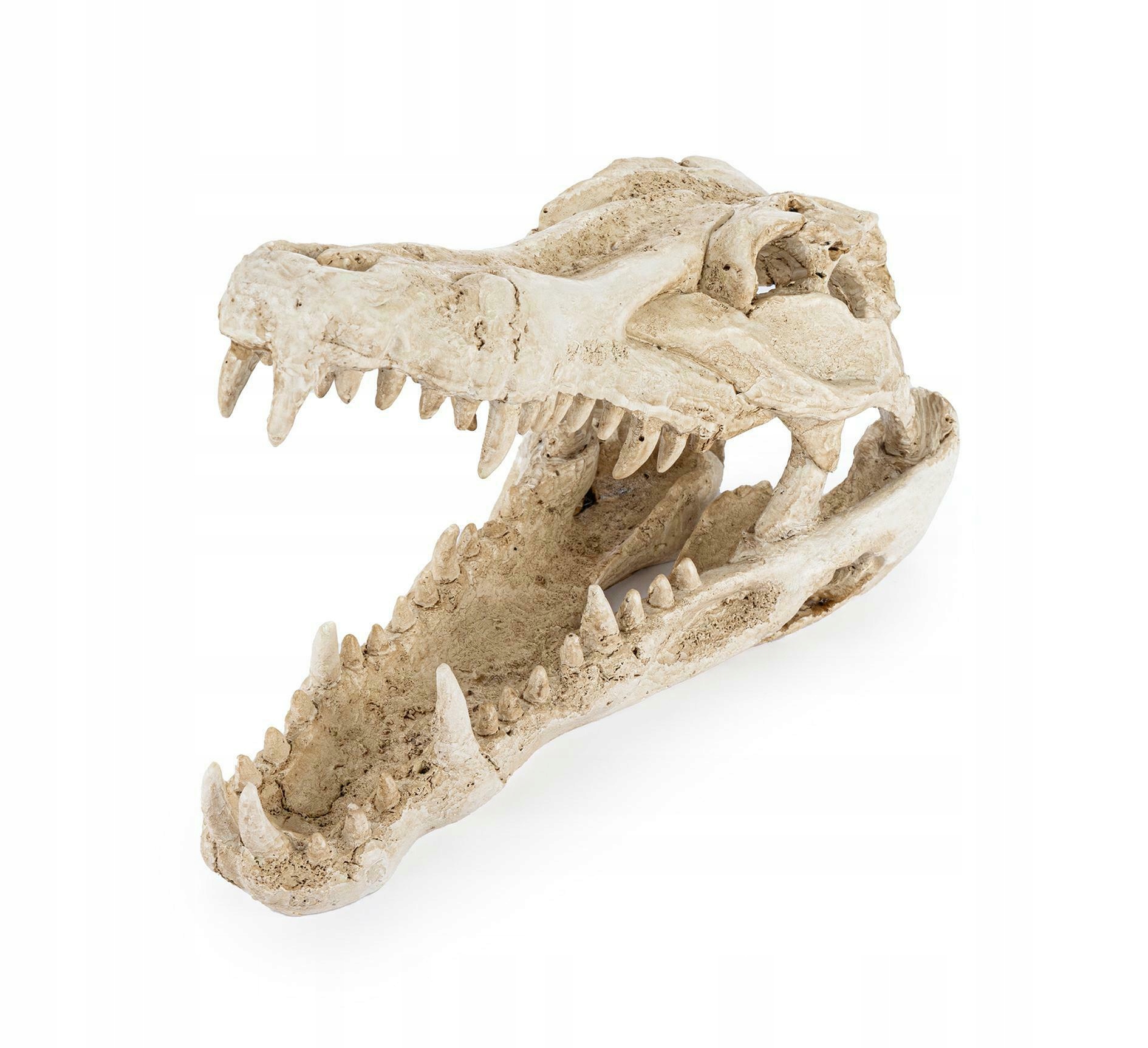 Levně R178 ozdoba terária lebka krokodýla