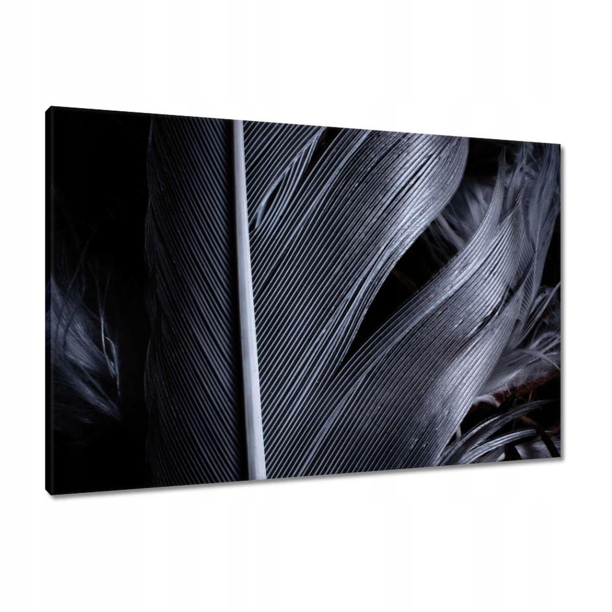 Obrazy 90x60 Černé pero v přiblížení