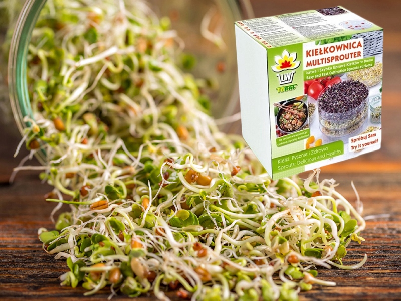 TORAF KIEŁKOWNICA NACZYNIE DO KIEŁKÓW DO UPRAWY W DOMU NA PARAPET KIEŁKI Marka Toraf