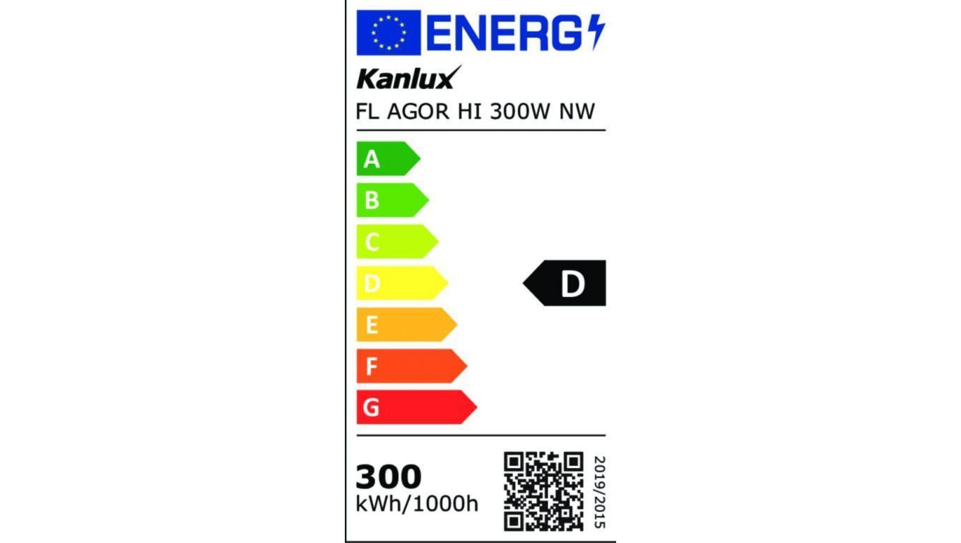 Projektor Fl Agor Hi 300W Nw 45000lm 4000K barwa neutralna IP65 5 lat gwar.