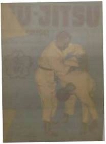 Ju-jitsu pas niebieski - Haesendonck