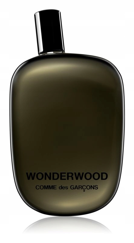 Comme des Garçons Wonderwood woda perfumowana dla mężczyzn 100 ml