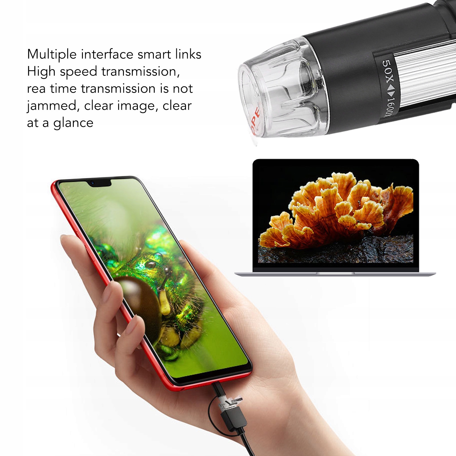USB skaitmeninis mikroskopas, 1600x – mikroskopo naudojimo pavyzdys