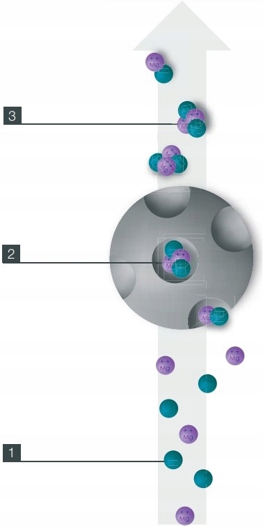 FILTR DO WODY ODKAMIENIAJĄCY OneFlow WATTS Marka Watts