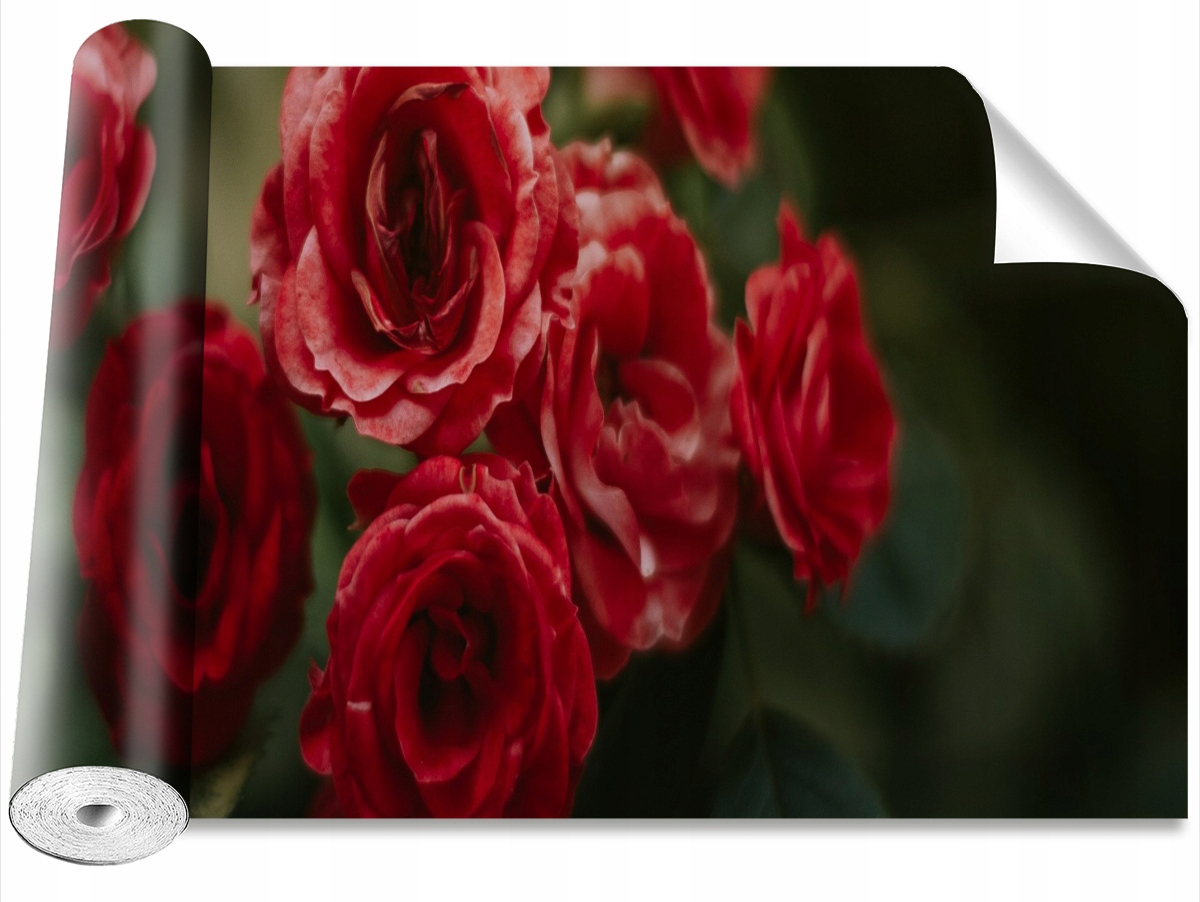 

Fototapeta Samoprzylepna Róże Vintage 312x219