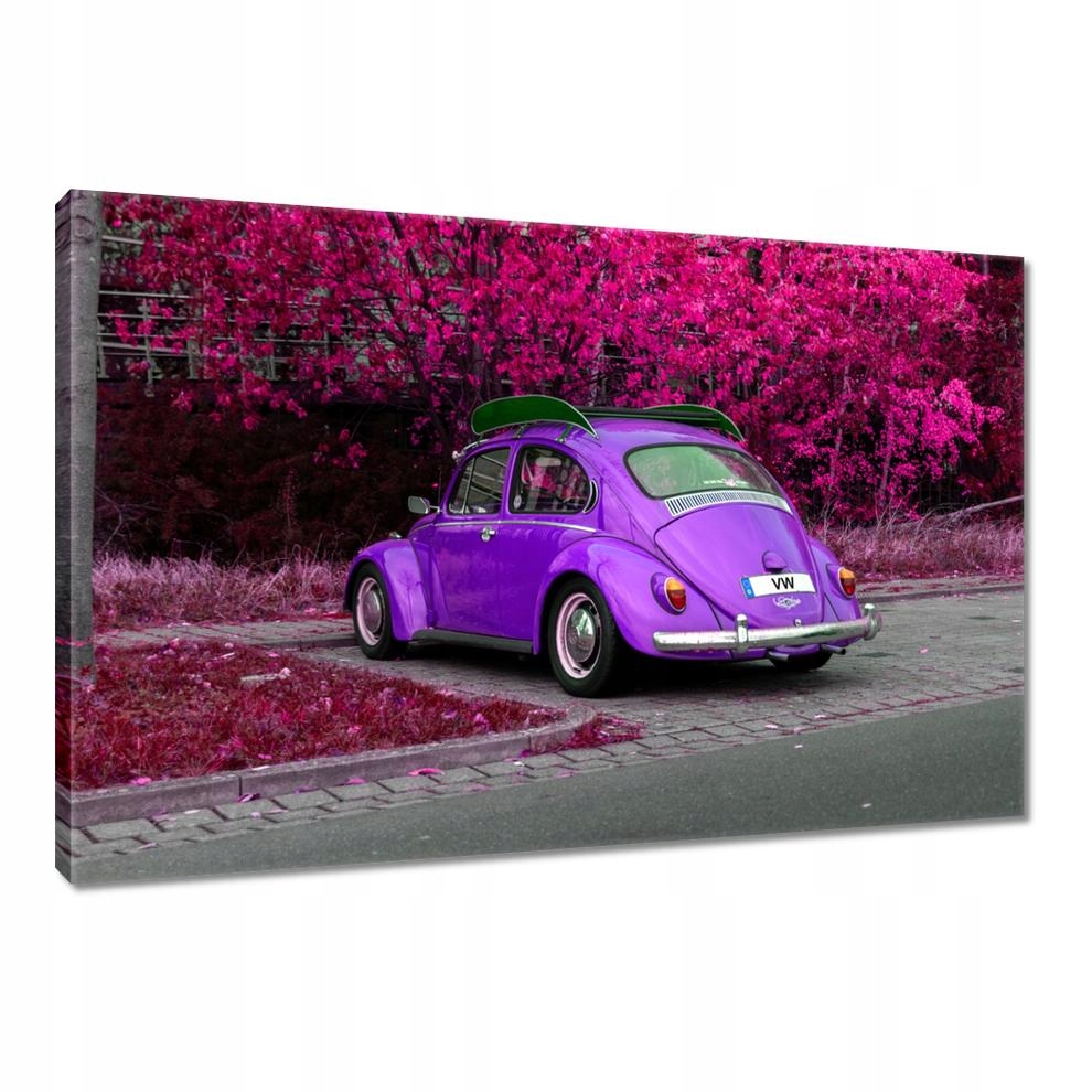 

Obrazy 90x60 Garbus Volkswagen Vw Auto