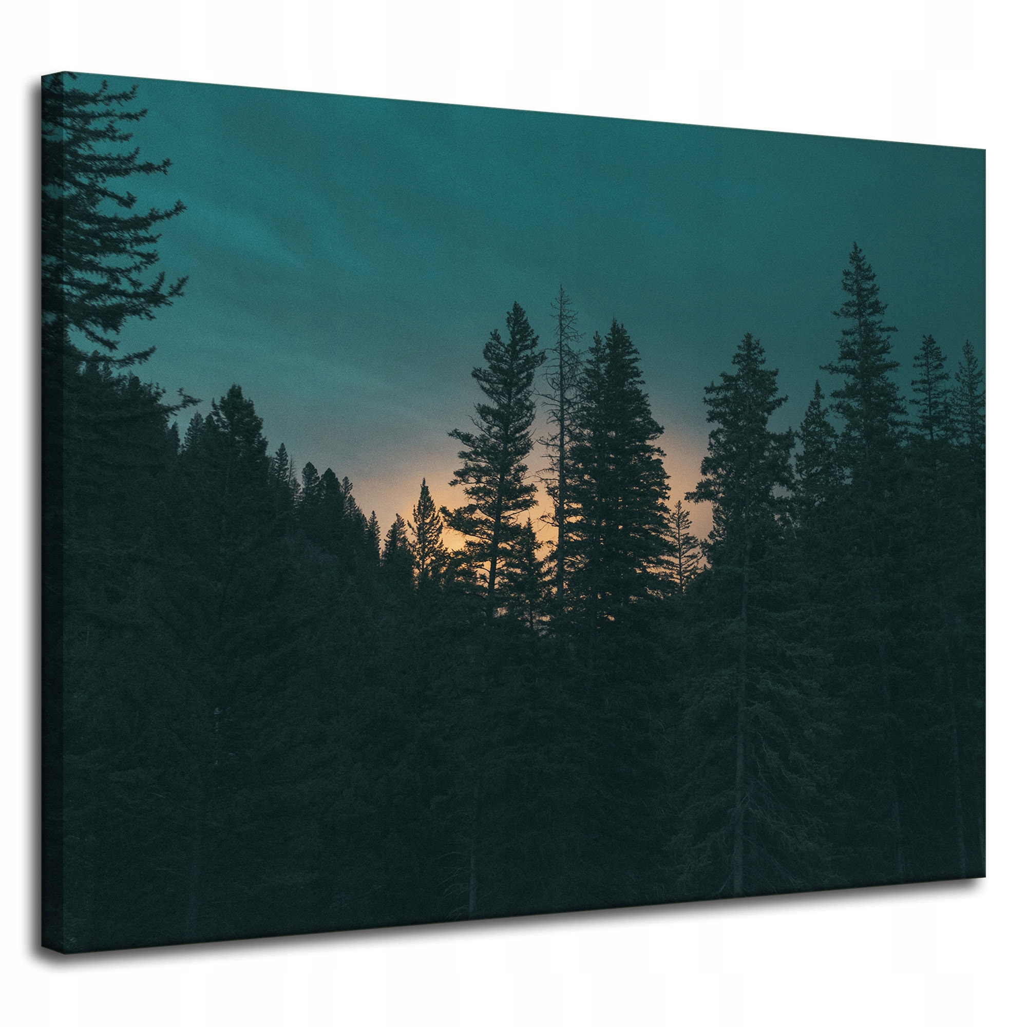Obraz na plátně Příroda Les za soumraku Noc 100x80 cm