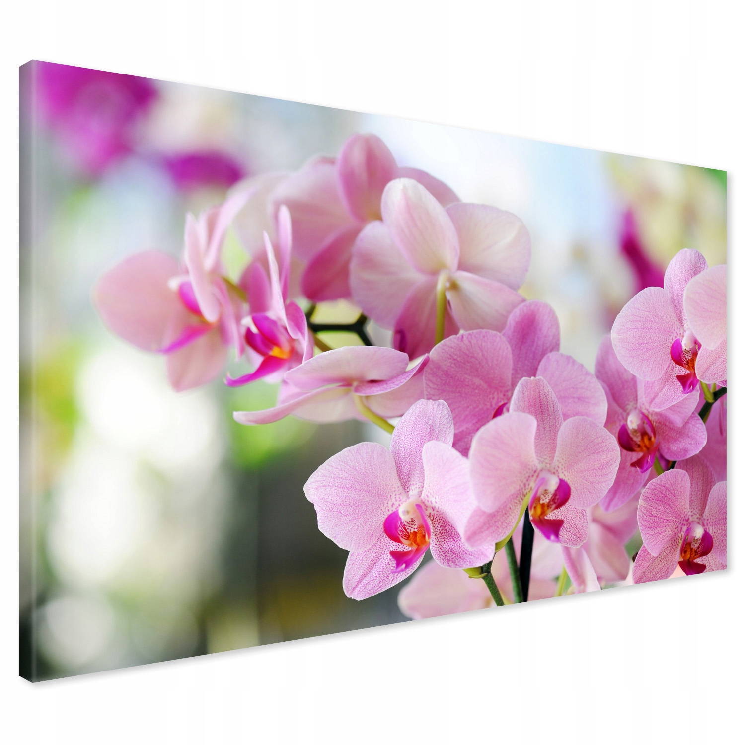 

Obraz na płótnie orchidea kwiaty 120x80