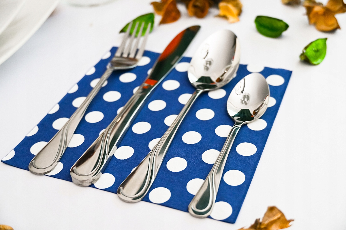 ZESTAW SZTUĆCÓW NA 12 OSÓB SZTUĆCE POŁYSK KOMPLET WALIZKA 72 EL Linia POŁYSK