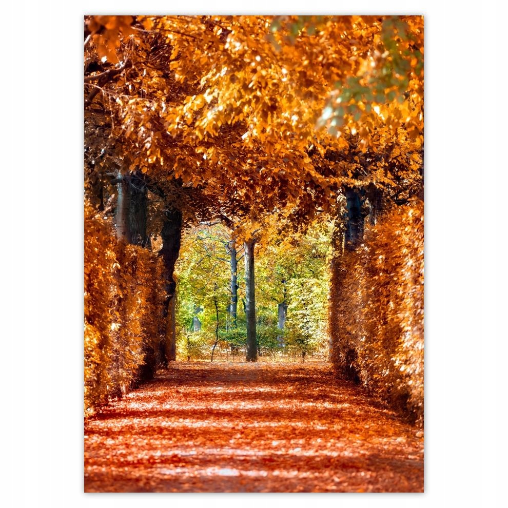 

Plakaty 50x70 Pejzaż Krajobraz Widoczek