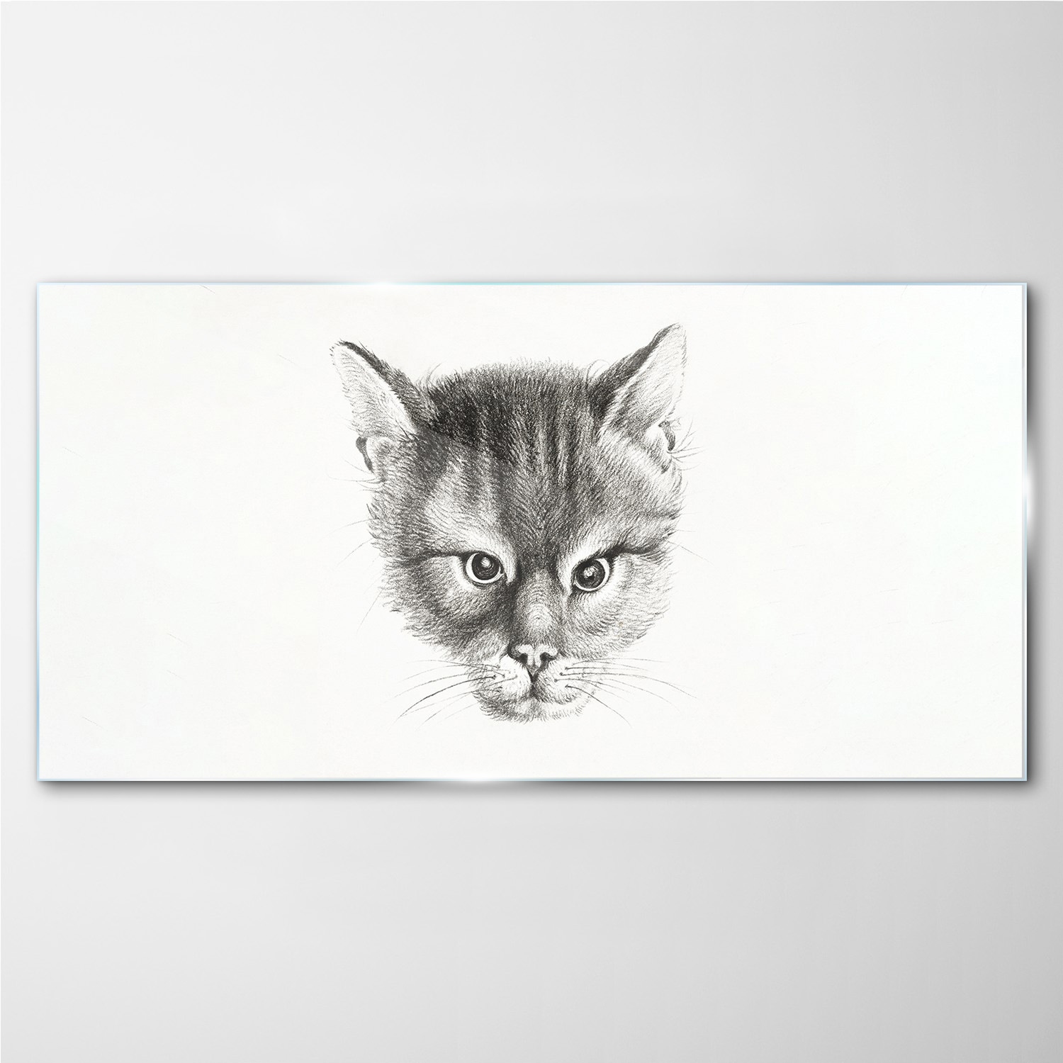 

Obraz z nadrukiem szklany Zwierzę kot 100x50 cm