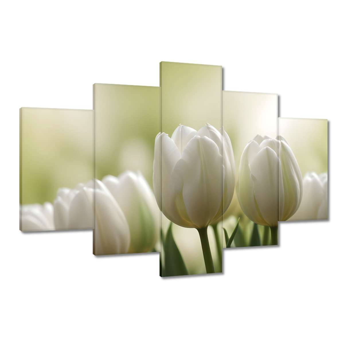 Obrazy 120x80 Bílé tulipány