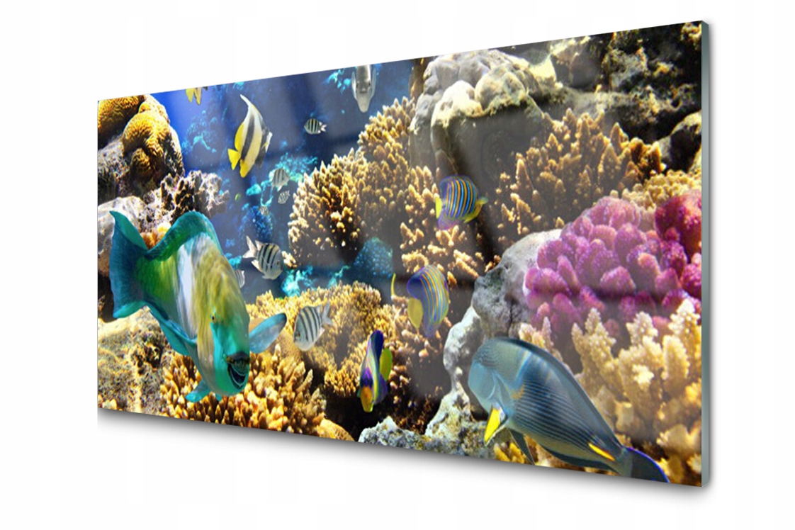 

Panel szklany dekoracyjny Rafa Koralowa 100x50
