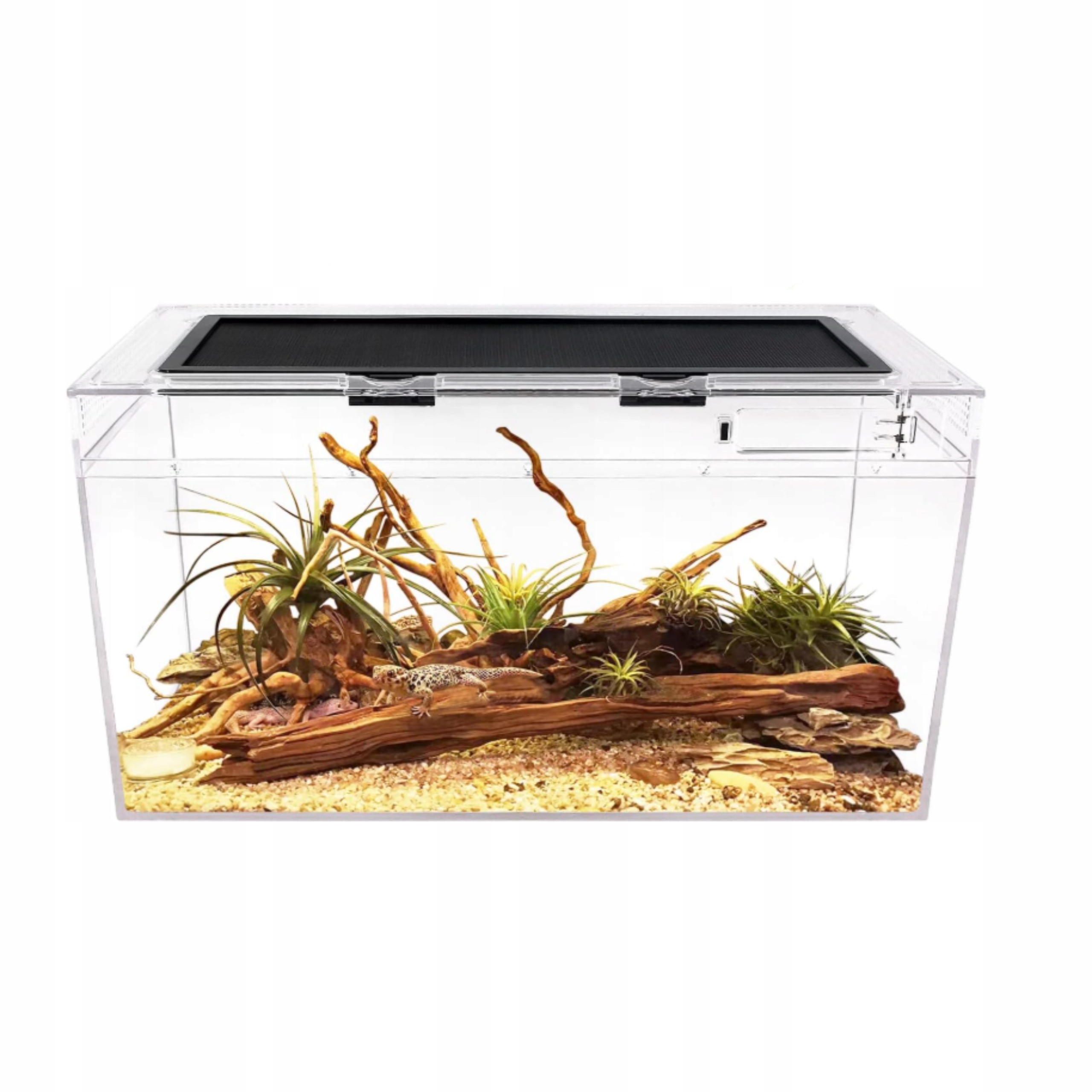 Terrarium Dla Pająkow Ślimaków Żaby Transparentne Reptile Growth Wytrzymałe