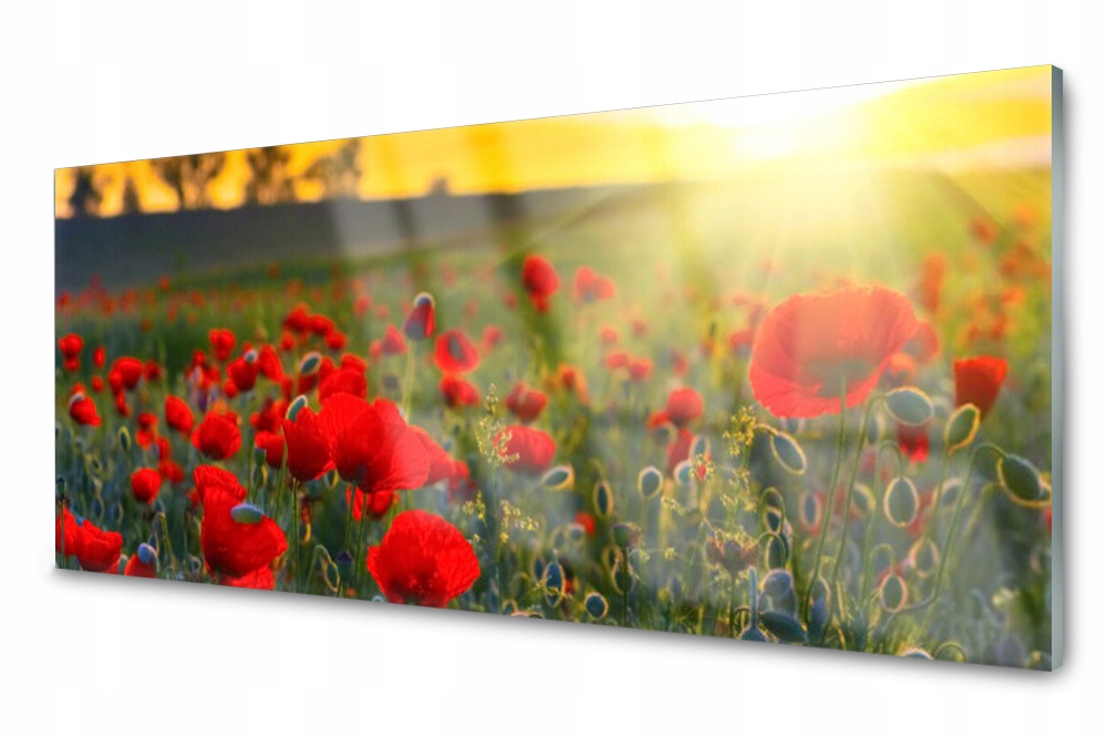 

Panel szklany do kuchni Łąka Maki Roślina 125x50