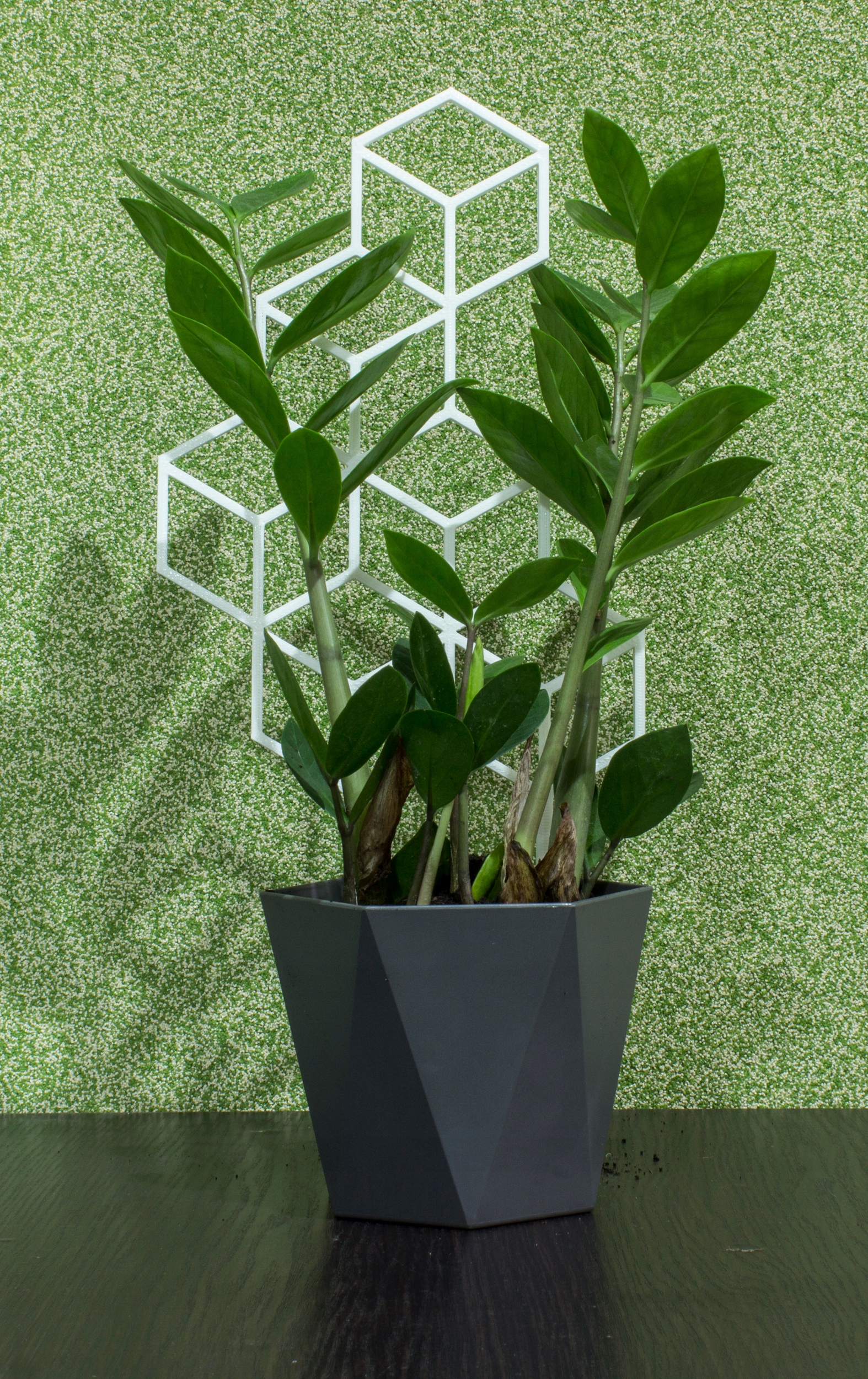 PODPÓRKA KWIATÓW ROŚLIN DRABINKA PERGOLA 37cm Rodzaj drabinka