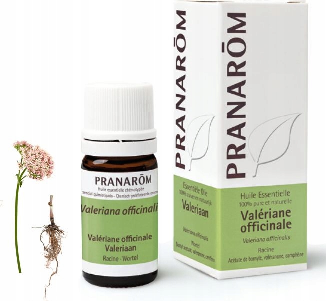 Olejek Eteryczny Walerianowy Kozłek lekarski 5ml