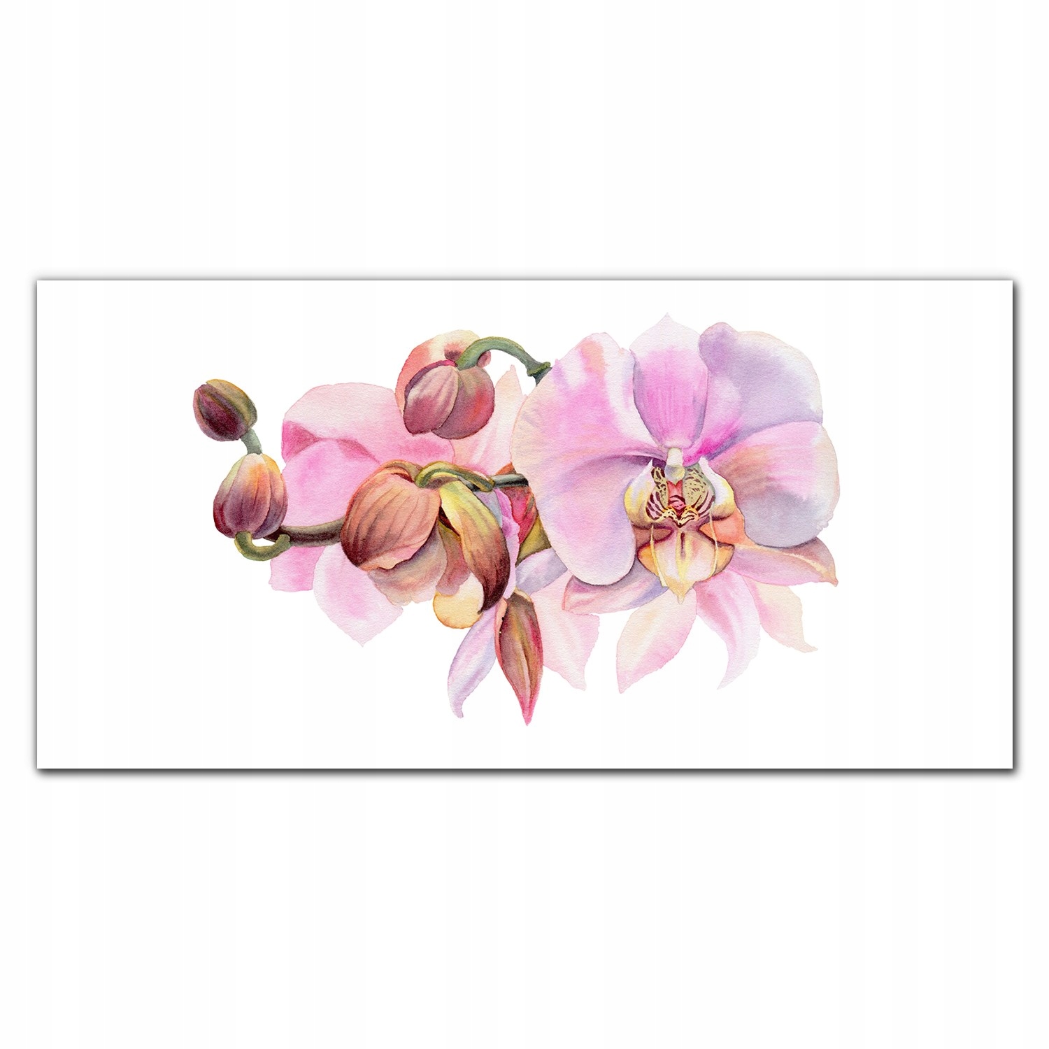 Obraz na plátne Akvarelový kvet orchidea 140 x 70 cm