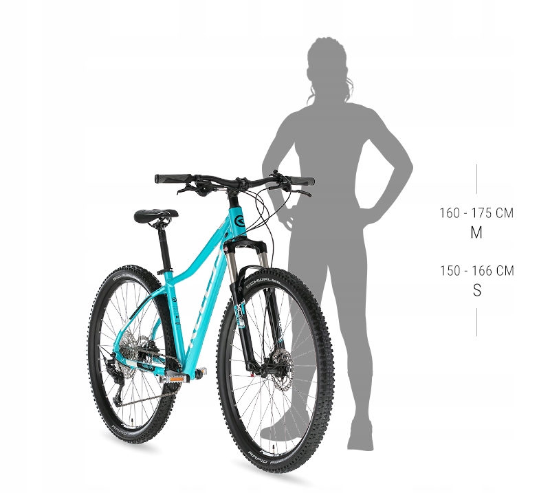 KELLYS Vanity 70 Raspberry M 27,5" EAN (GTIN) 8585053816300