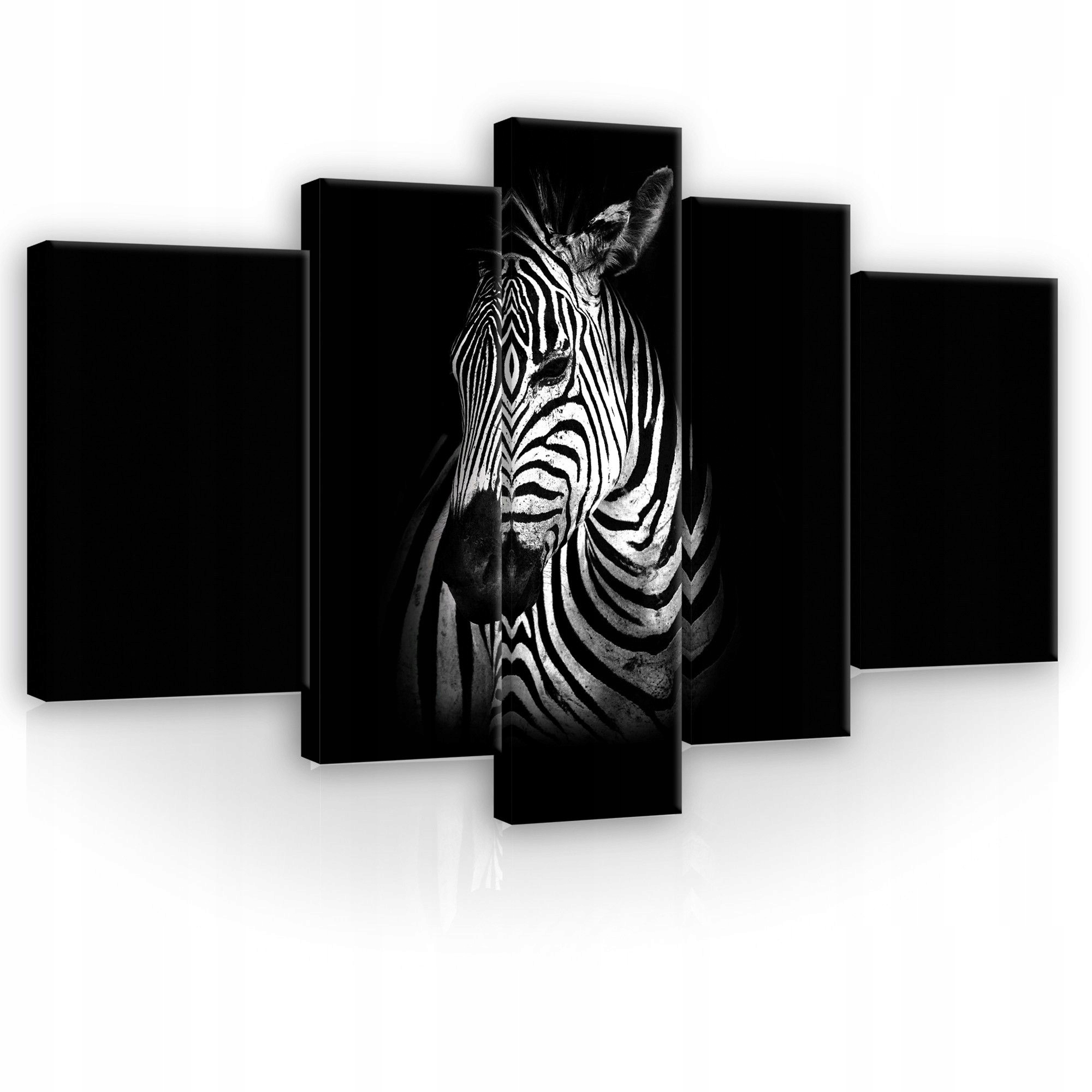 Obraz 170x100 Zebra čiernobiely kontrast zviera safari minimalizmus štýl