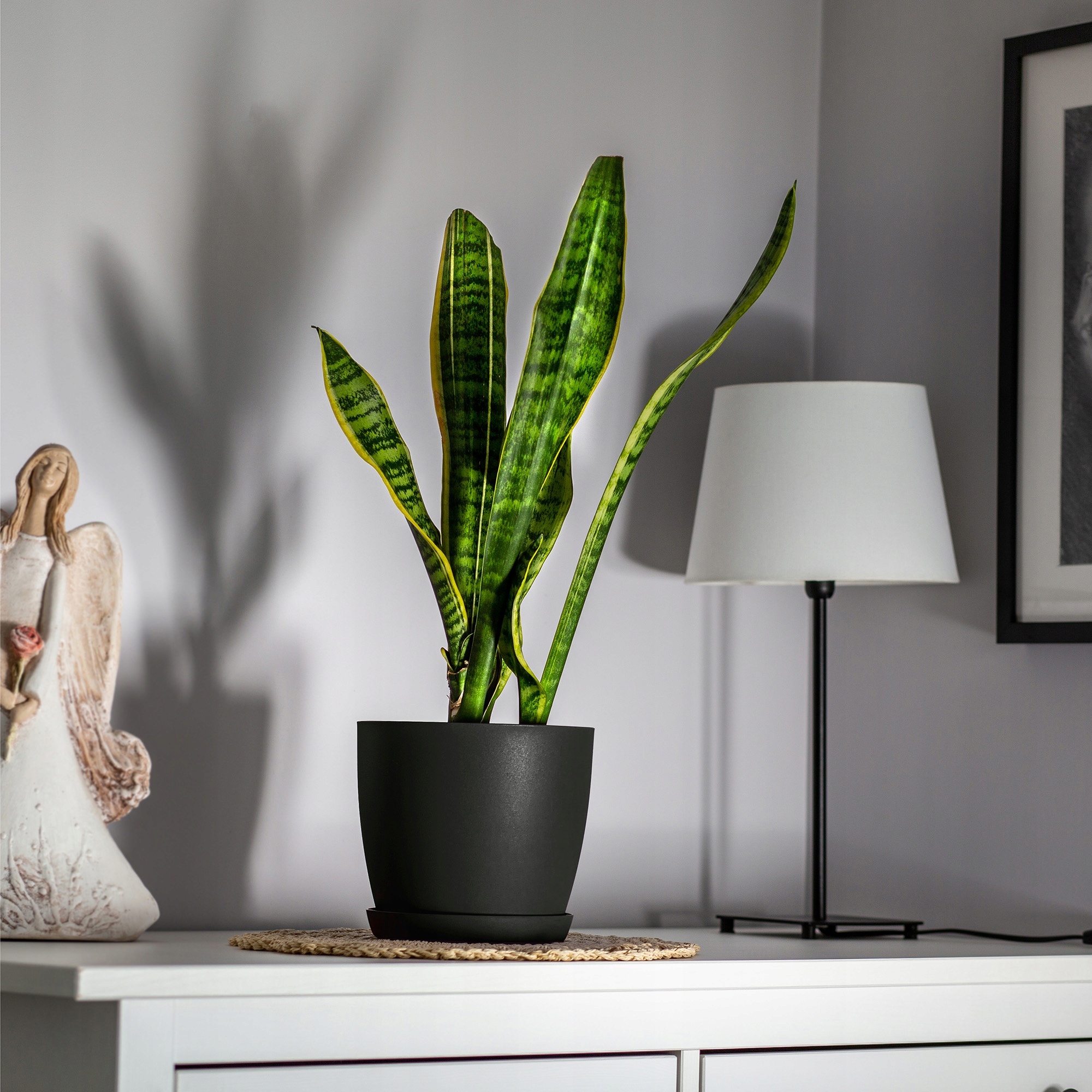 DONICZKA OSŁONKA DONICA 12cm NA KWIATY Z PODSTAWKĄ GRAFITOWA DO SALONU Marka Kadax