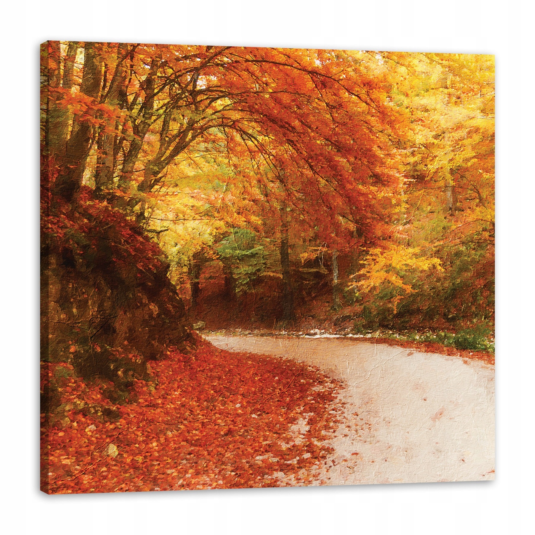 Obraz na plátně Stezka v Podzimním lese Barevné listy 80 x 80 cm