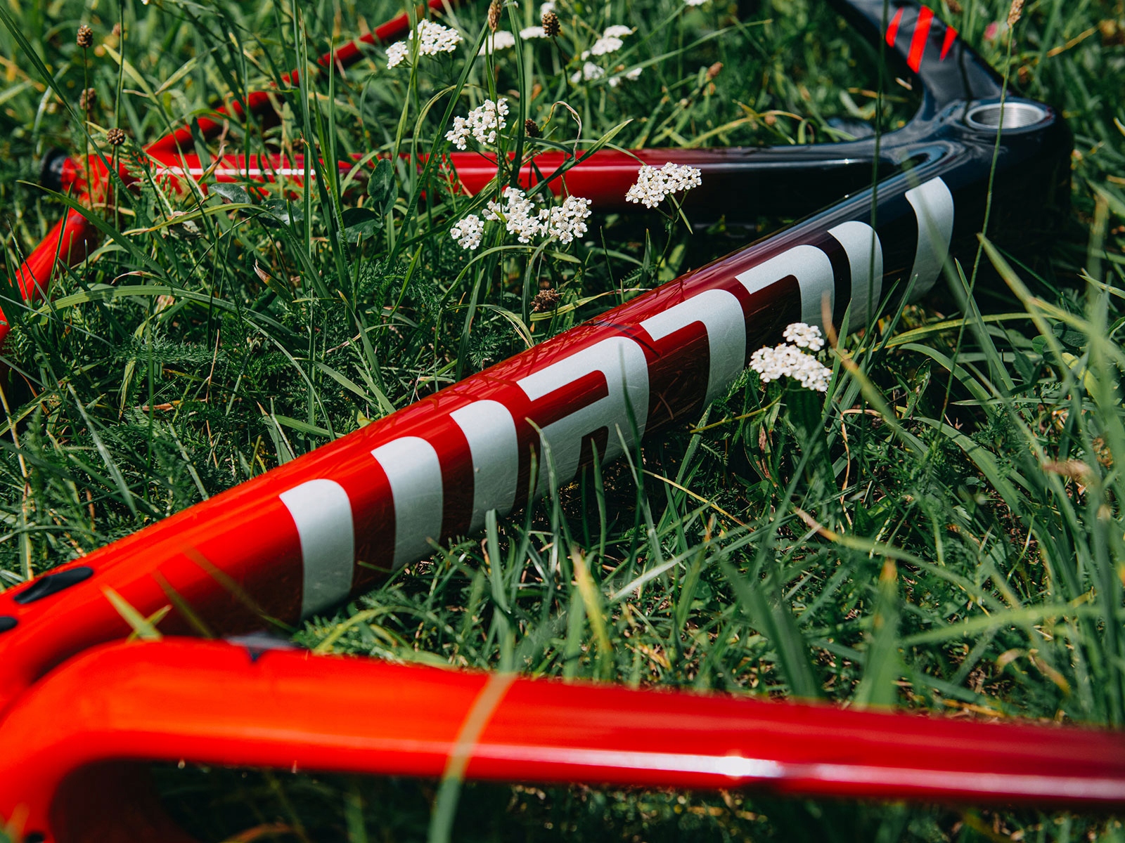 Frameset Accent CX-ONE CARBON Deep Red XL 58cm Model CX-ONE CARBON