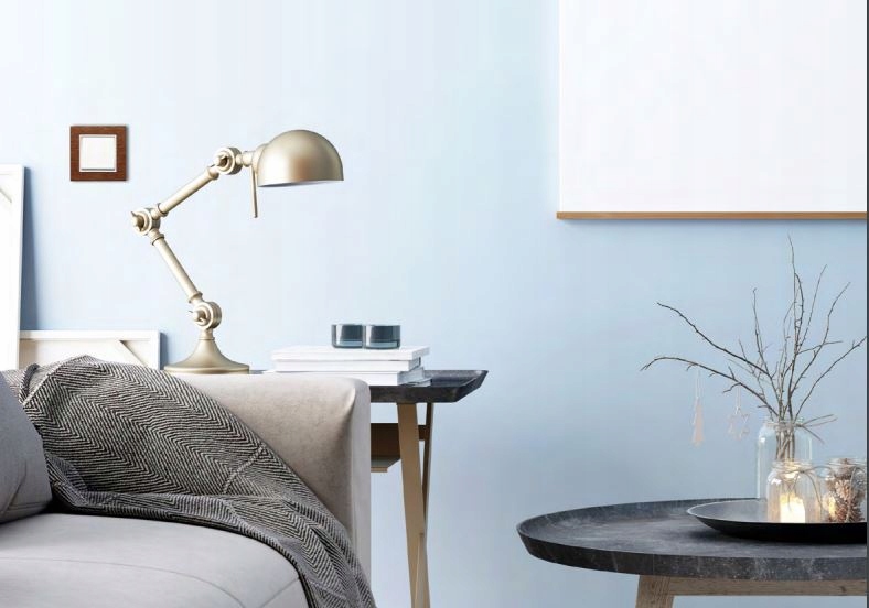 HAGER lumina intense Ramka pojedyncza biała WL5510 Materiał tworzywo sztuczne