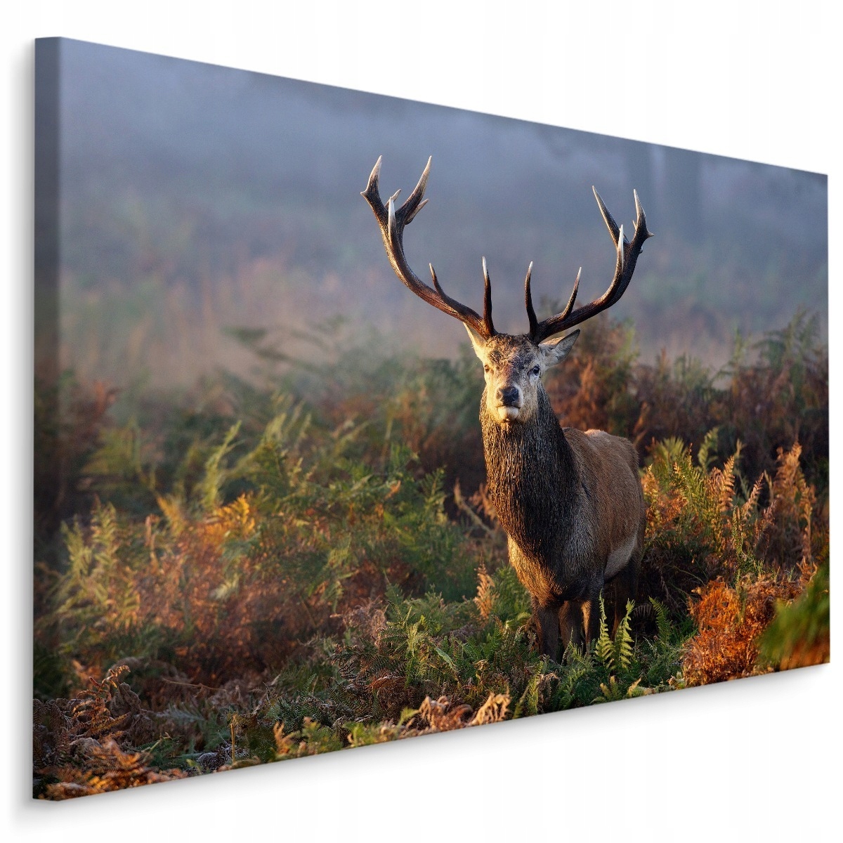 

Obraz Jeleń Rośliny Natura Krajobraz 3D 30x20
