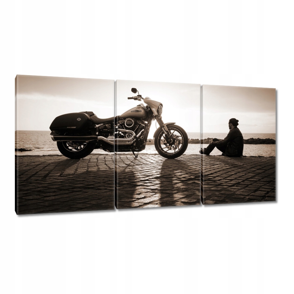 

Obrazy 120x60 Harley Davidson Motocykl
