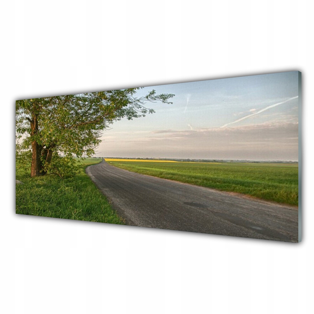 

Obraz akrylowy 125x50 Droga Drzewo Trawa Krajobraz