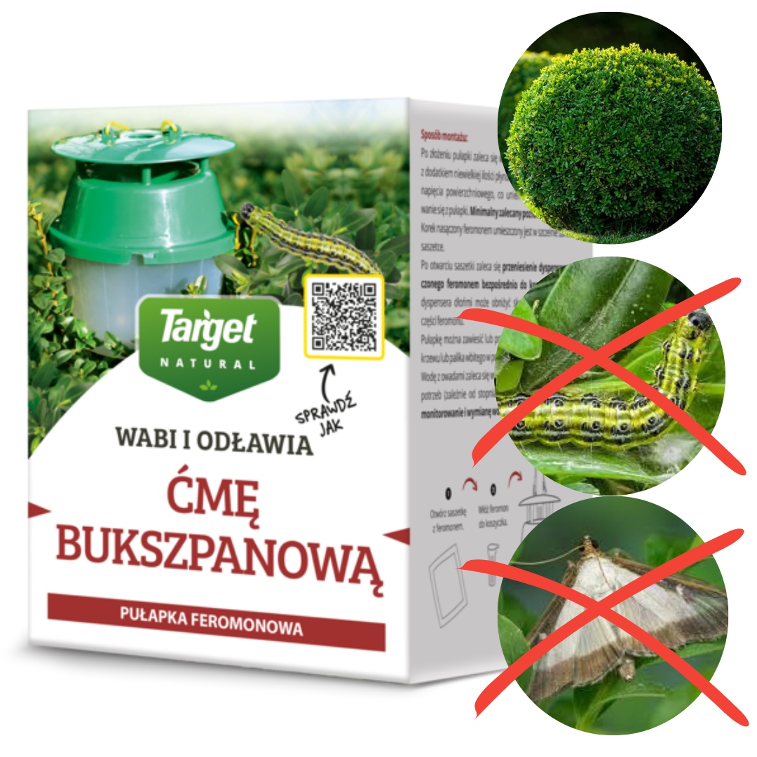 Pułapka feromonowa na ćmę bukszpanową, wabi i odławia Target