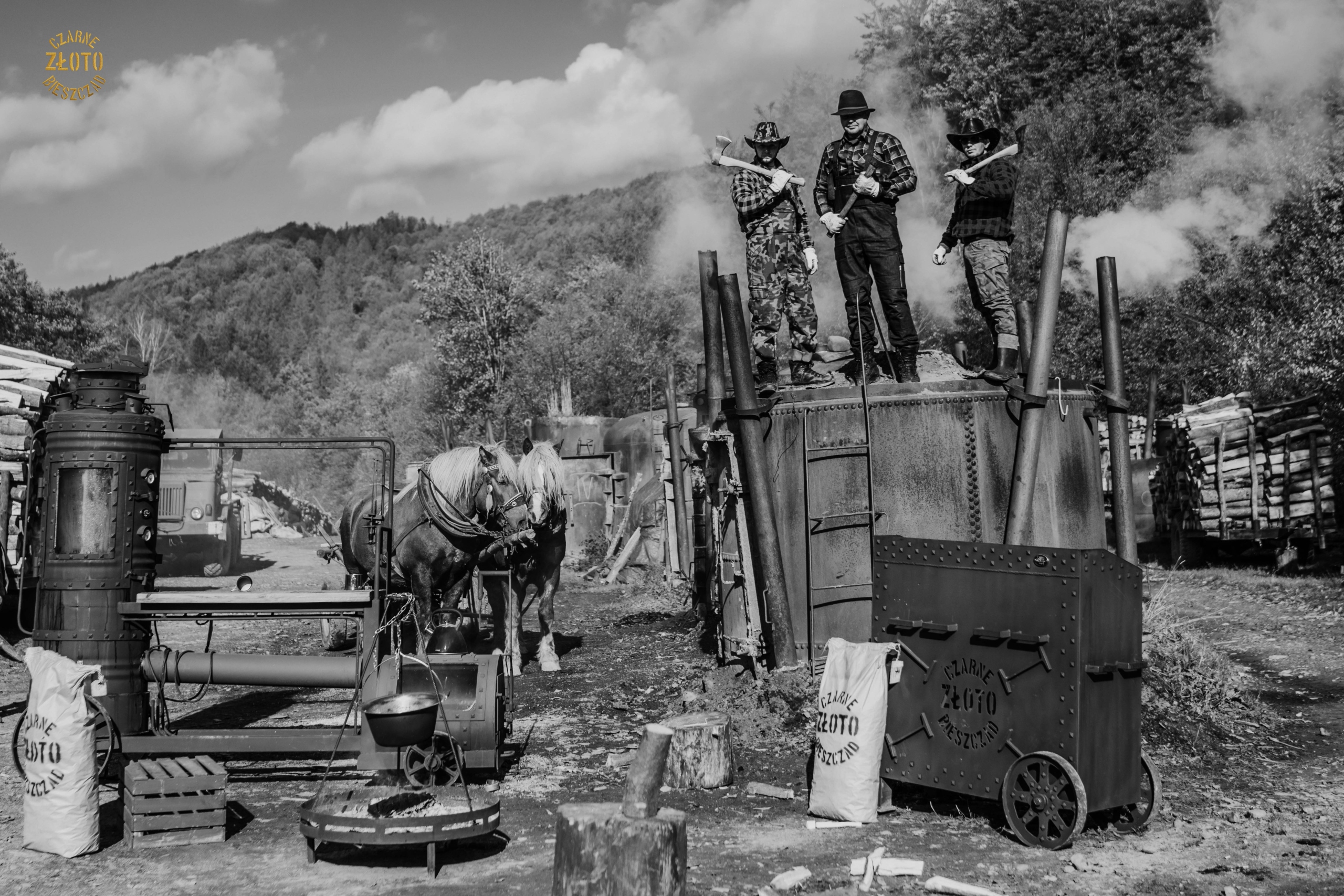 CZARNE ZŁOTO BIESZCZAD WĘGIEL NATURALNY WOREK 10KG Marka inna